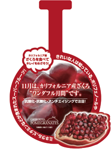 ウイグラー（11月ざくろ月間）